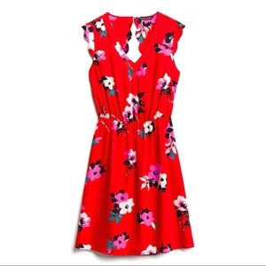 41 Hawthorn Midnight Scallop Detail Dress Size MP